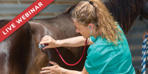 From Hoofbeats to Heartbeats: Modernizing Equine Field Sedative and Anesthetic Techniques