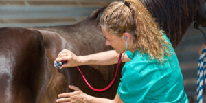 From Hoofbeats to Heartbeats: Modernizing Equine Field Sedative and Anesthetic Techniques