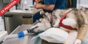 Practical Anesthetic Management of Patients with Cardiovascular Disease