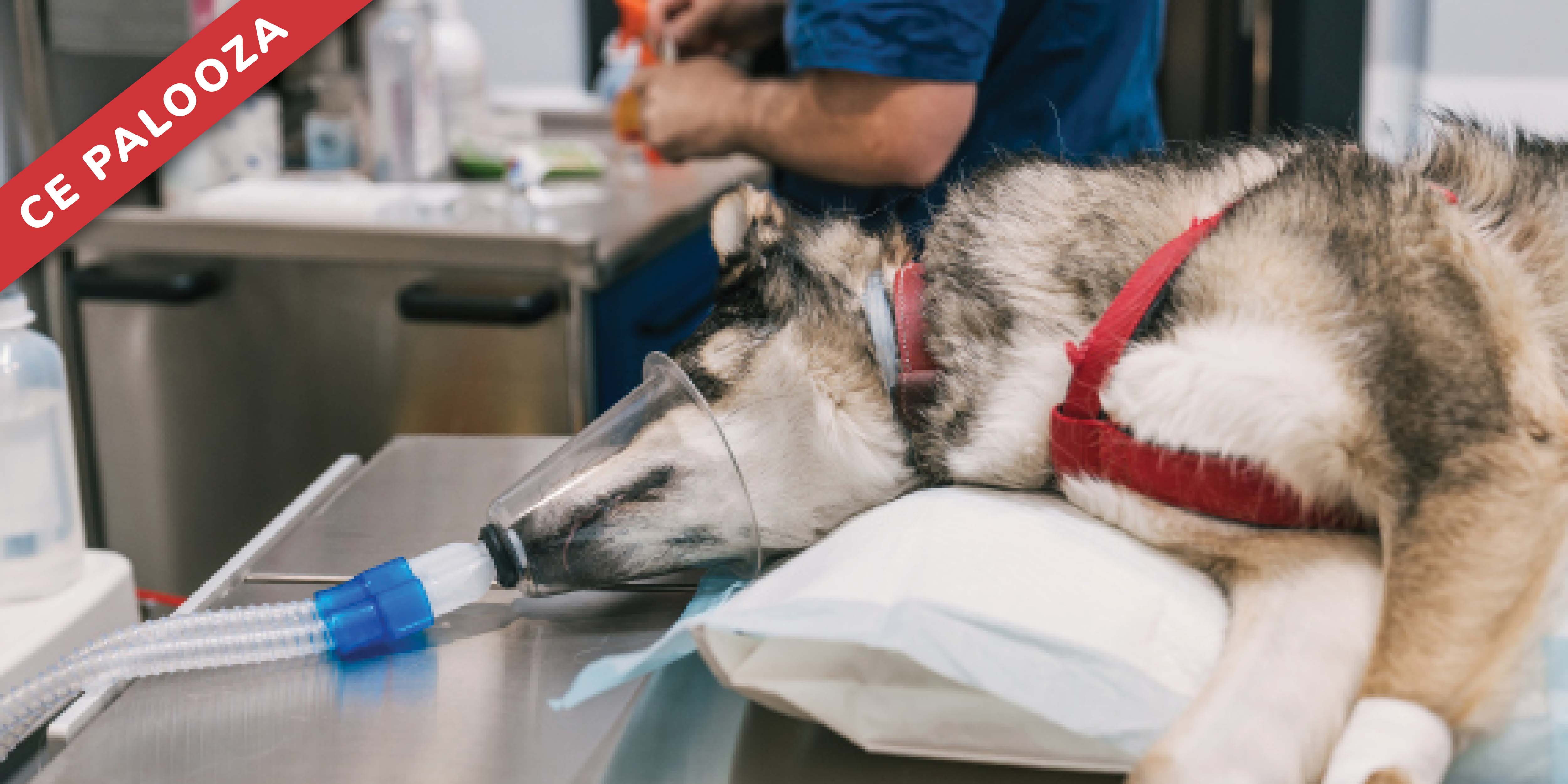 Practical Anesthetic Management of Patients with Cardiovascular Disease