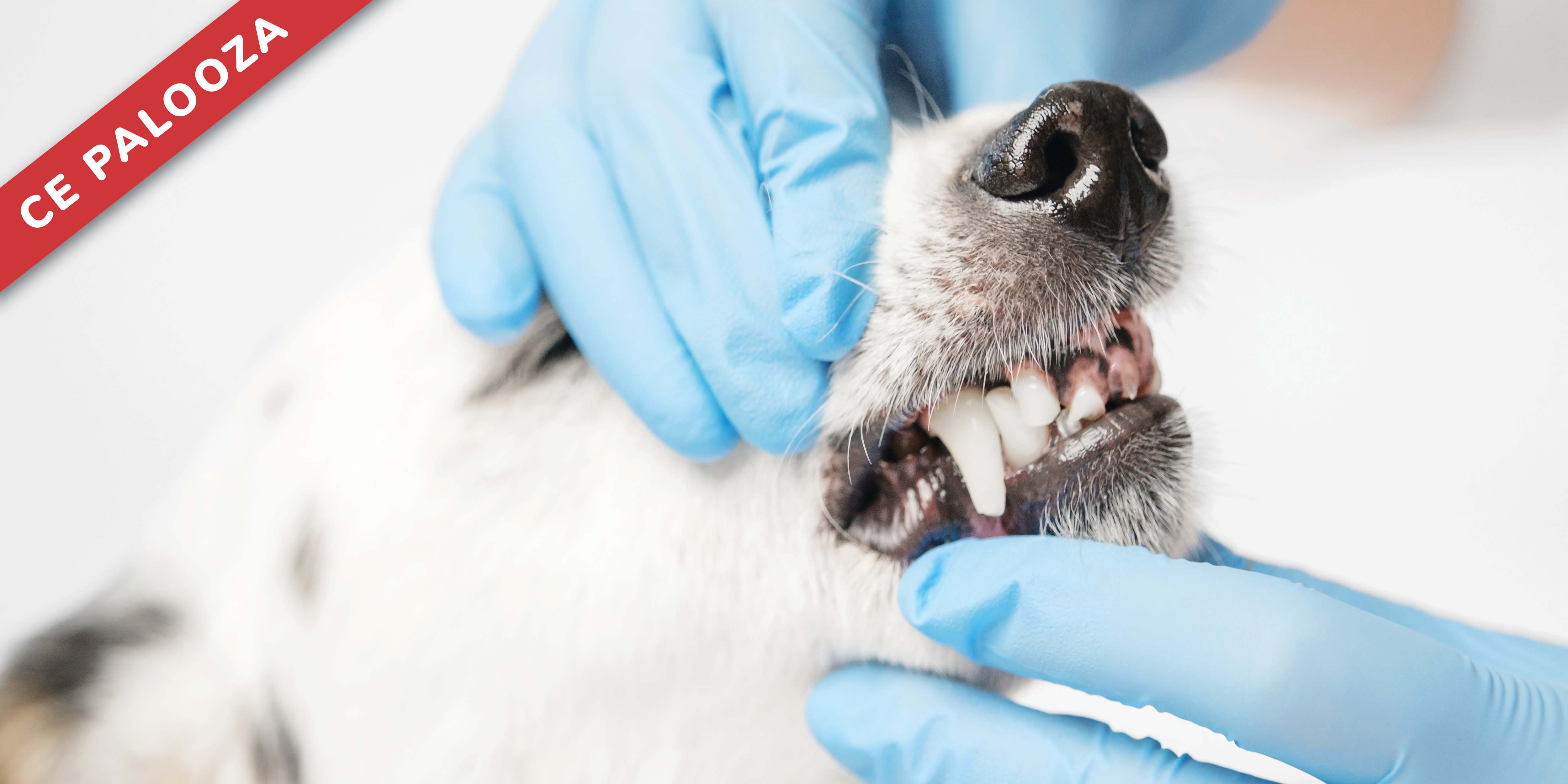 Extraction: Efficient Techniques and Avoiding Complications