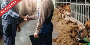 The Vet-Worker Connection: Boosting Dairy Performance Through Labor Force Training