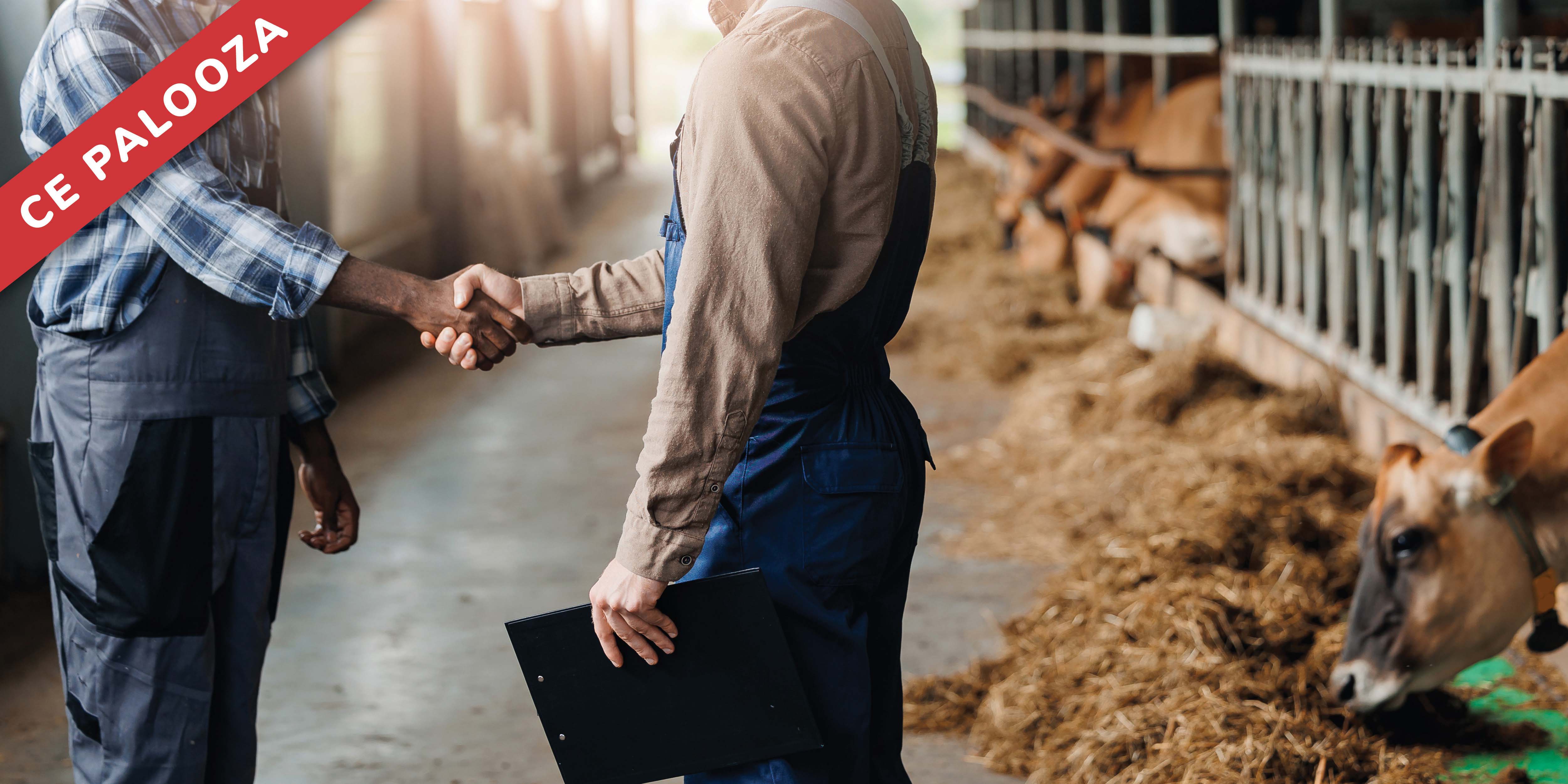 The Vet-Worker Connection: Boosting Dairy Performance Through Labor Force Training