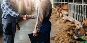The Vet-Worker Connection: Boosting Dairy Performance Through Labor Force Training