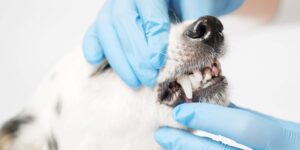 Extraction: Efficient Techniques and Avoiding Complications