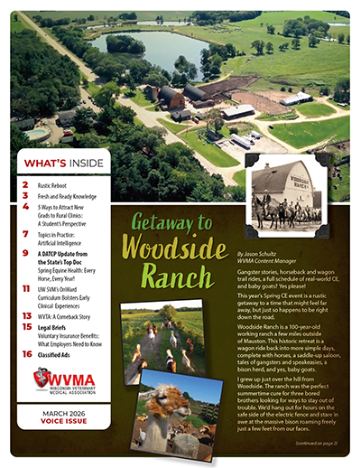 Screenshot 2026-03-02 at 3.47.44 PM