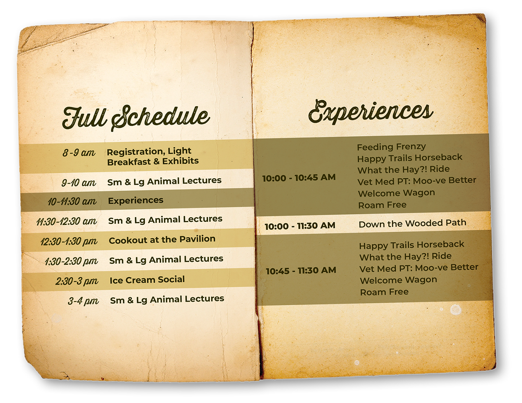 Full Schedule_Experiences