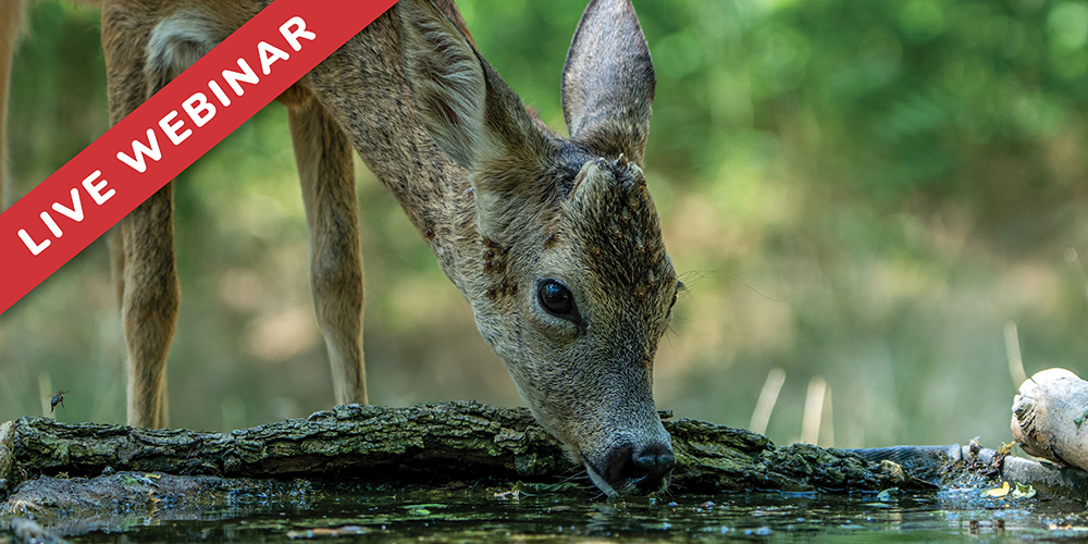 CWD Certification: What Cervid Producers and Veterinarians Need to Know
