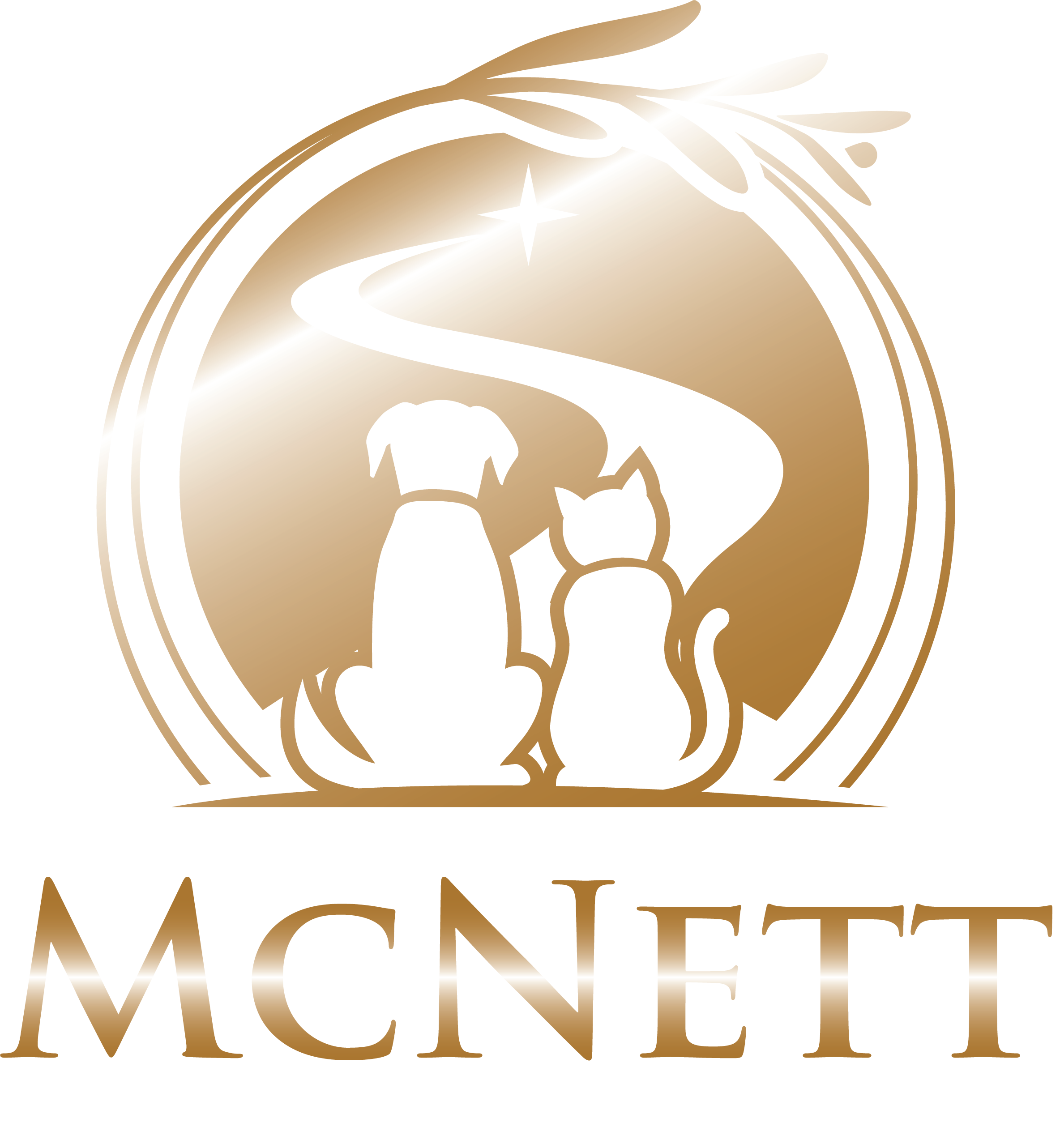 MCNETT_Primary Logo on Transparent background