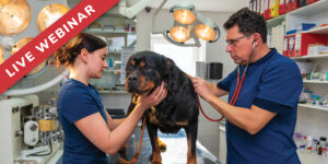 Help Shape the Next Generation: Hosting Veterinary Students Through Early Clinical Experiences (ECE)